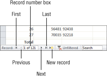 Screenshot of the bottom of the Datasheet window presenting the Navigation buttons. Left to right: First record, Previous record, record number box, Next record, Last record, and New record.