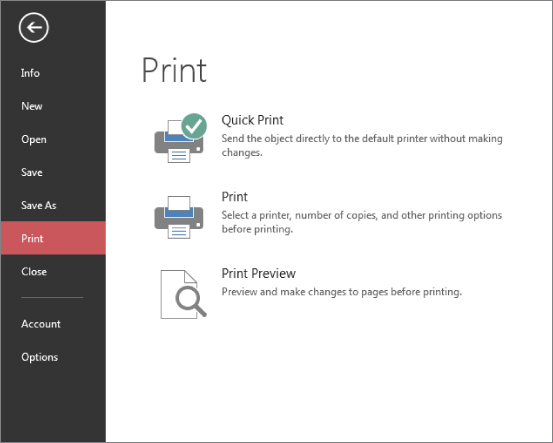 Screenshot of the Microsoft Office Print menu displaying Quick Print, Print, and Print Preview options with the Microsoft Office main menu on the left panel.