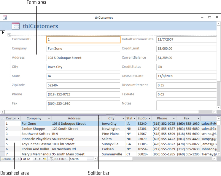 Screenshot of tblCustomers dialog box labeling the Form area, the Datasheet area, and the splitter bar.