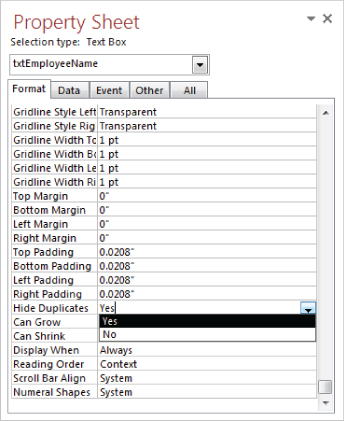 Screenshot of the Property Sheet dialog box displaying Format tab options with a drop-down menu on the Hide Duplicates option for Yes and No.