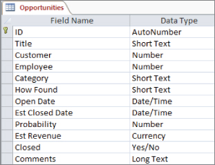 Snipped image of Opportunities tab presenting a table listing field names and their corresponding data type.