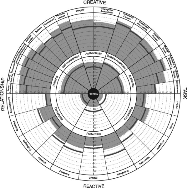 Series of concentric circles divided into several sectors and sub-sectors. Outside outer circle: “Creative”, “Relationship”, “Task”, “Reactive”. “Identity” inside innermost. Maximum gray shade in upper half of circles with sectors- “Relating”, “Self-awareness”, “Authenticity”, “Systems awareness”, “Achieving”.