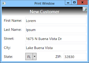 Print Window dialog box presenting New Customer details with text boxes for First Name, Last Name, Street, City, State, and ZIP code. A Print icon is on the top right corner.