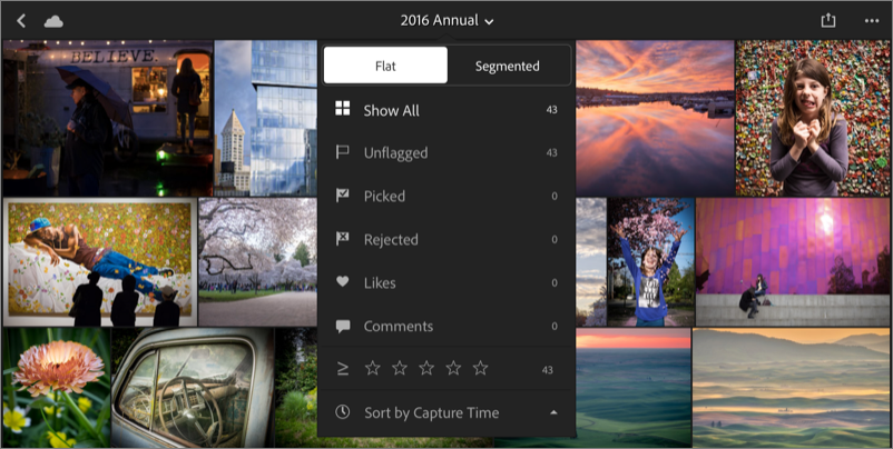**Figure 68:** Filter the photos in Lightroom mobile (iPad shown here).
