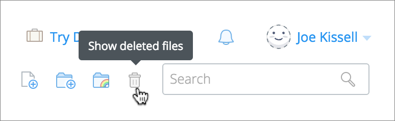 **Figure 67:** Click this icon to display deleted files.