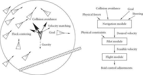 Figure showing (left) Individual flock member (boid) can experience several urges of different importance (shown by line thickness) which have to be negotiated into a single velocity vector. A boid is aware of only its limited neighborhood (circle). (Right) Boid control is commonly implemented as three separate modules.