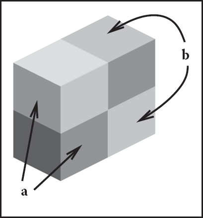 Figure showing the perception of lightness is affected by the perception of 3D structure. The two surfaces marked (a) have the same brightness, as do the two surfaces marked (b) (after Adelson (1999)).