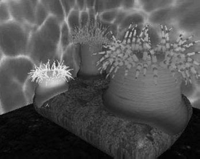 Figure showing sea anemone deforms to implicit rock.