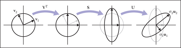 Figure showing what happens when the unit circle is transformed by an arbitrary matrix A. The two perpendicular vectors v1 and v2, which are the right singular vectors of A, get scaled and changed in direction to match the left singular vectors, u1 and u2. In terms of elementary transformations, this can be seen as first rotating the right singular vectors to the canonical basis, doing an axis-aligned scale, and then rotating the canonical basis to the left singular vectors.