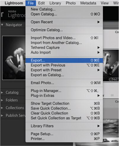 10.1 To open the Export dialog, go to File > Export, use quick key Control-Shift-E (PC) or Command-Shift-E (Mac), or click the Export button in the lower left of the user interface after selecting images in the Library Module.