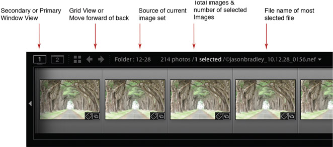 1.25 If you ever need to know where you are in Lightroom, look to the Filmstrip. It will show you what images are selected; in what folder, part of the catalog, or Collection you are looking; and the name of the most selected image in your view.