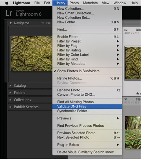 2.14 After you have converted your image to DNG within Lightroom, you can validate your DNG file to test its integrity during data transfers, or if you’re concerned with files degrading over time while being stored.