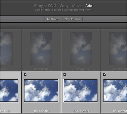 2.21 When the Don’t Import Suspected Duplicates box is checked, Lightroom detects duplicates and grays them out so they can’t be checked for import.