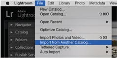2.29 In addition to importing from cards or existing folders on your computer or external hard drive, you can also import images directly from another catalog. Importing from another catalog is a great way of ingesting images and maintaining some of the catalog-based work that isn’t saved to metadata, such as Color Labels, Virtual Copies, Collections, and Flags.