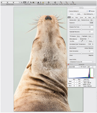 5.25 Here is a screenshot of Iridient Developer, which is an alternative raw developing platform that can sync images with the Lightroom Catalog.