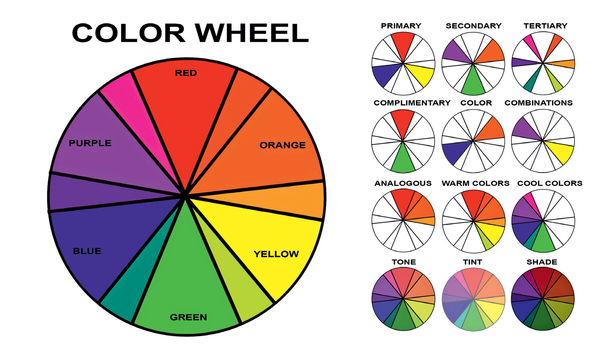THE COLOR WHEEL. ILLUSTRATION BY MALLORY MARIA PRUCHA
