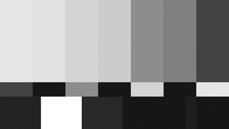 Figure 8.36 This image shows a color bar display properly set for white, black, and chroma levels. (See plate section for color.)
