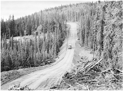A stretch of the Alcan Highway, from Building the Alaska Highway. Photo: Library of Congress.