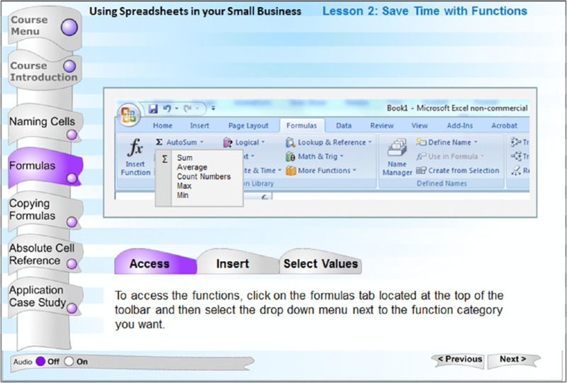 Screen shot shows a tutorial for excel with course menu, title, Screen shot of a menu bar of a spreadsheet and a brief description at the bottom for access, insert and select functions.
