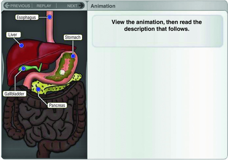 Screen shot show a picture of human digestive system along with buttons for previous, replay and next and an instruction to follow to the next page in order to read the description.