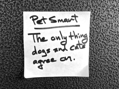 Figure depicting a Post-It note on a wall that reads “Pet smart – the only thing dogs and cats agree on.”