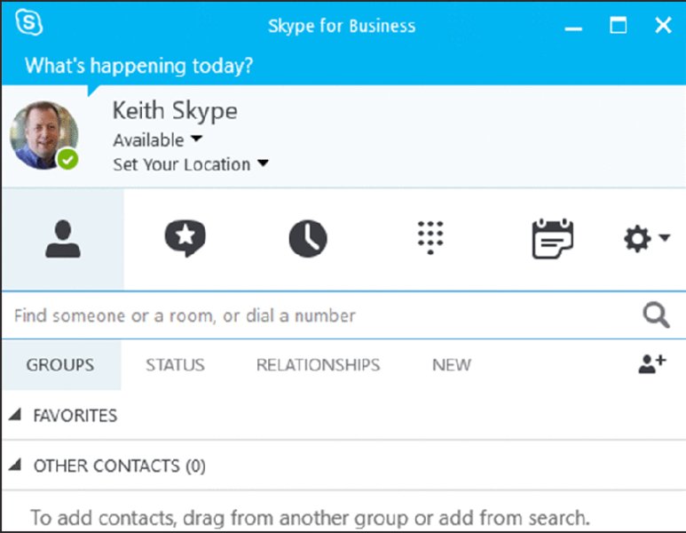 Screenshot shows a Skype window with user name, status, location and selected contact tab. Groups subtab is selected showing favorites and other contacts.
