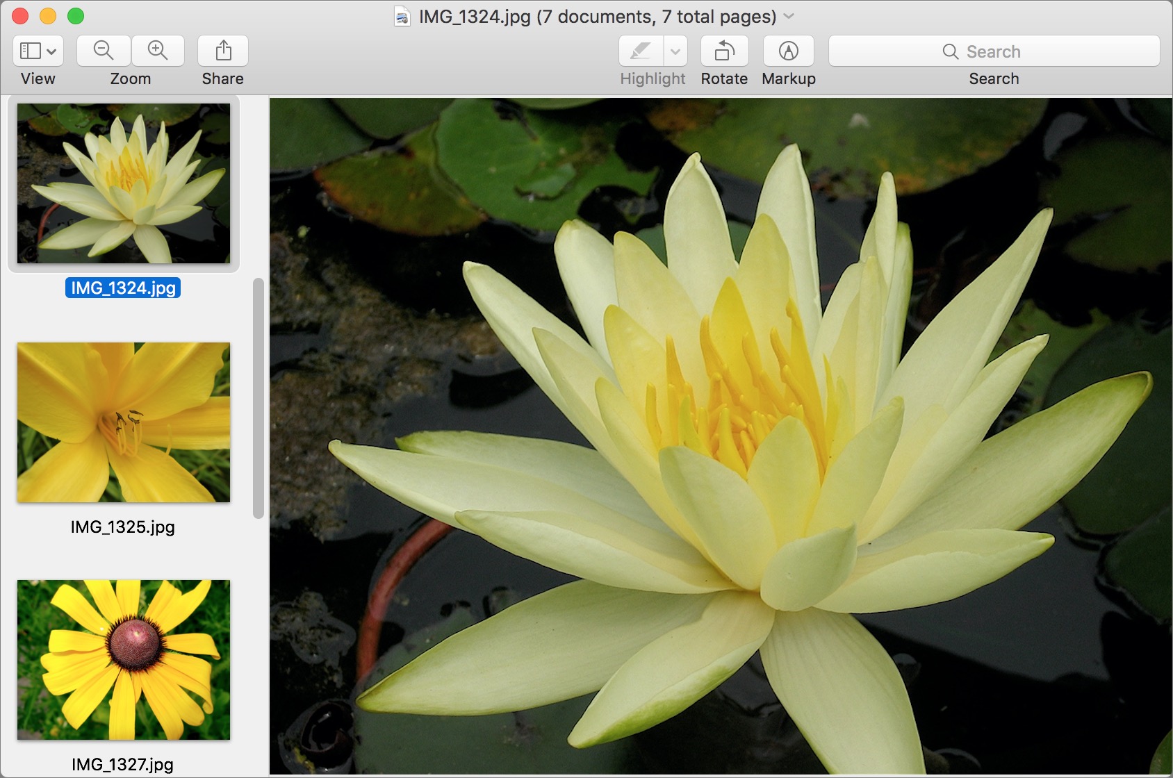 Figure 22: Preview’s sidebar automatically displays on the left side of the window when you open multiple images in the same window.