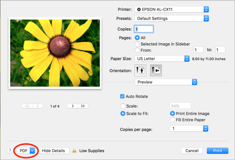 Figure 33: In the Print dialog, choose Save as PDF from the PDF pop-up menu in the lower-left corner (circled).