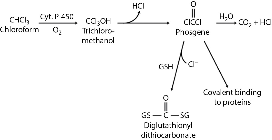 Image of Biotransformation of chloroform.