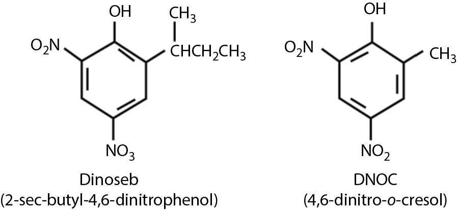 Image of Chemical structures of Dinoseb (2-sec-butyl-4,6-dinitrophenol) and DNOC (4,6-dinitro-o-cresol).