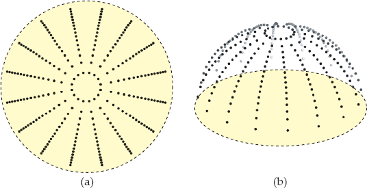 Figure showing (a) 256 regular samples mapped to a hemisphere with a cosine distribution; (b) 3D view of the samples.