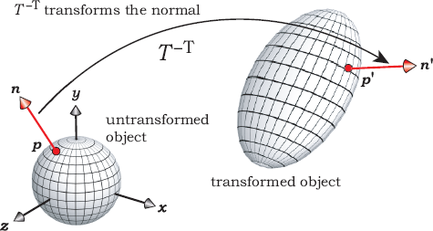 Figure showing transformation of the normal.