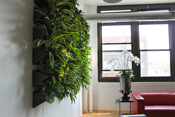 Environmentally friendly office spaces include LED lighting, recycling, natural light, and in this case, a living plant wall