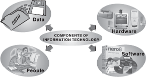 Components of IT