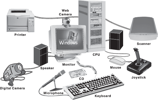 Typical Components of Multimedia Computer