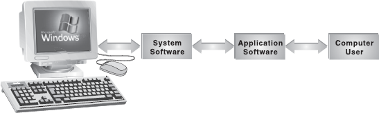 System Software, Application Software, and Hardware