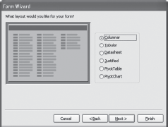 Selecting the Form’Layout