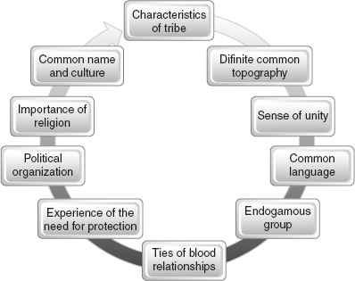 Figure 8.5 Characteristics of Tribe