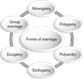 Figure 9.2 Forms of Marriage