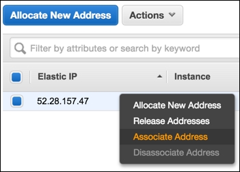 Setting up Elastic IP and DNS