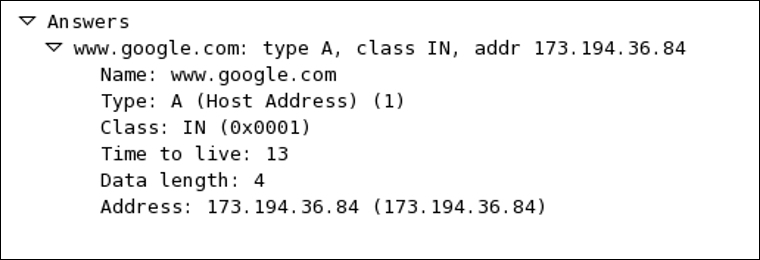 Dissecting DNS query/response
