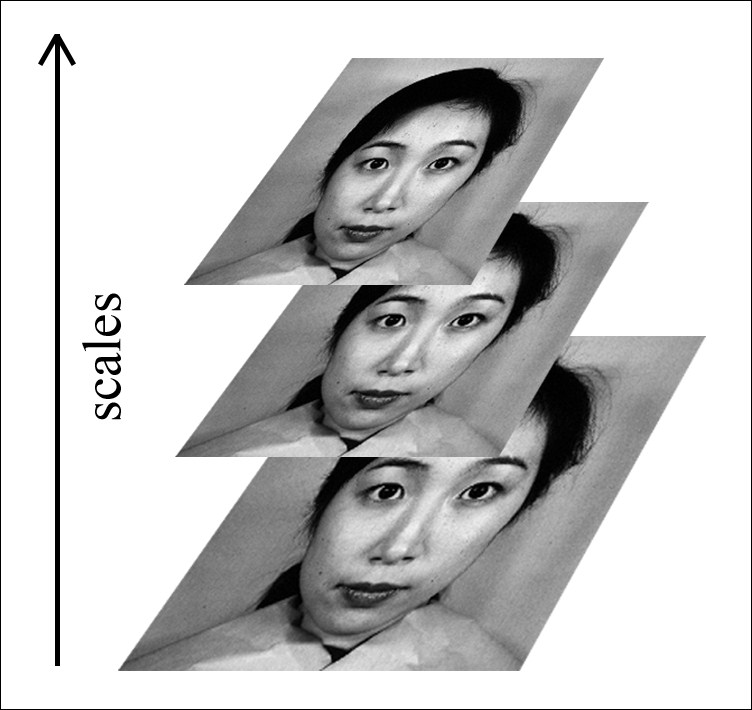 Extracting the face region using a face detection algorithm
