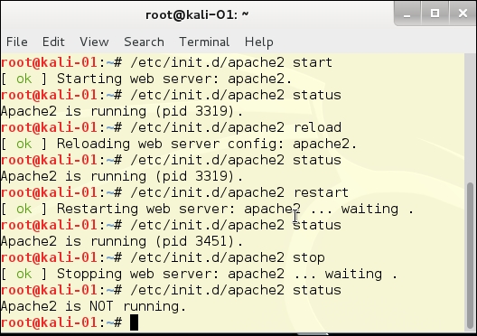Running services on Kali Linux