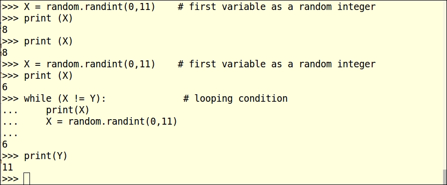 Reviewing a while loop structure