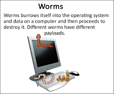 Worms