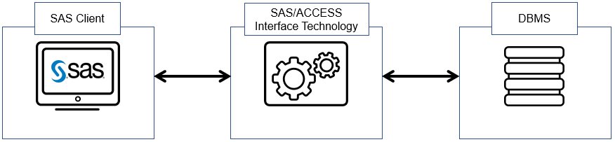 SAS/ACCESS Technology