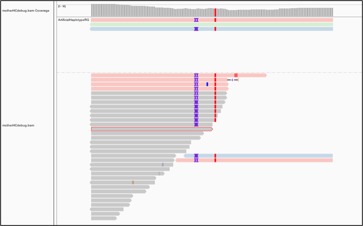 Figure 5 9  Bamout shows support per haplotype.
