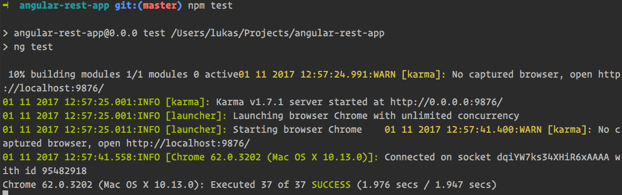 Execute unit tests and end to end tests using the Angular CLI.