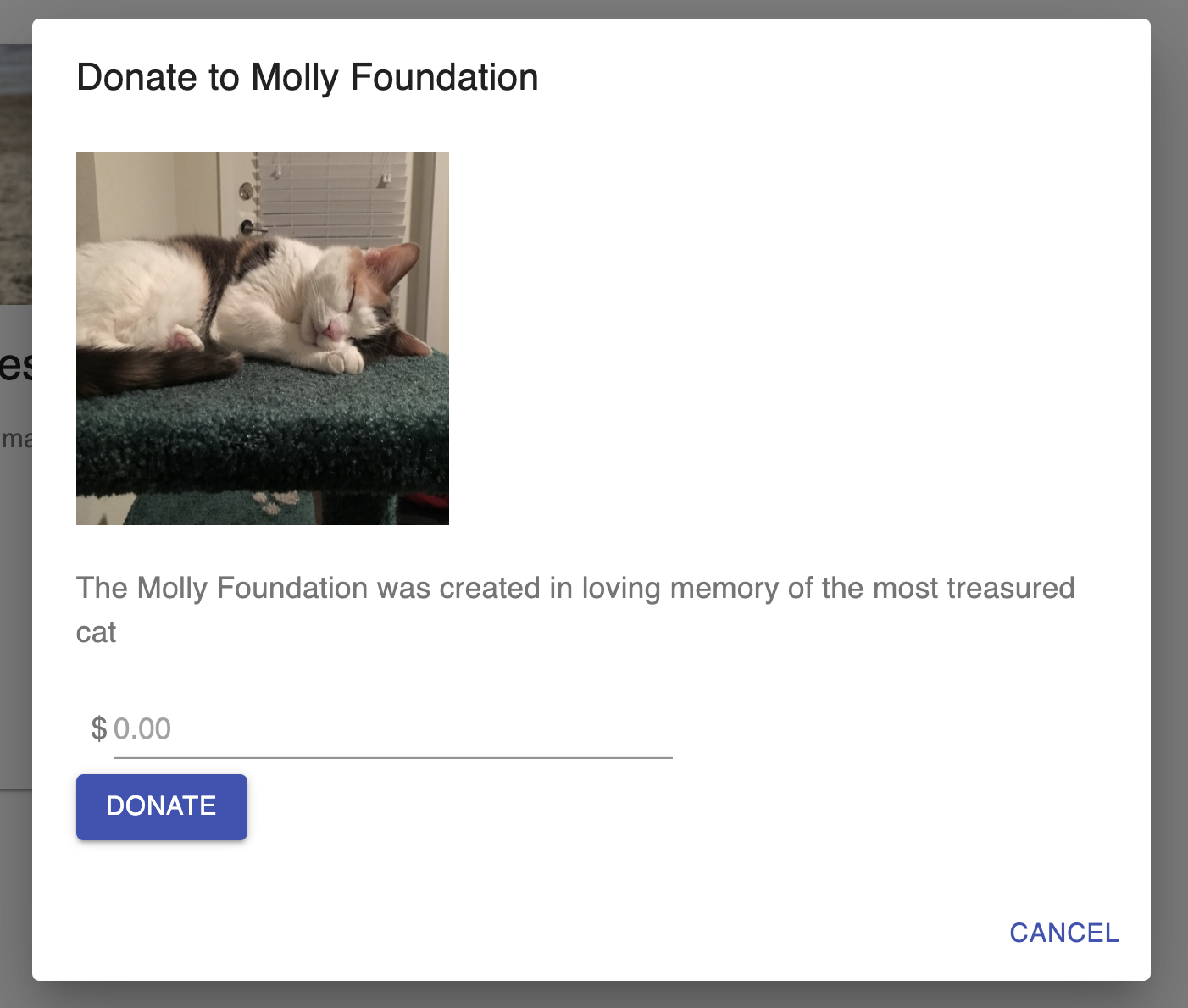 Molly Foundation Donation Image