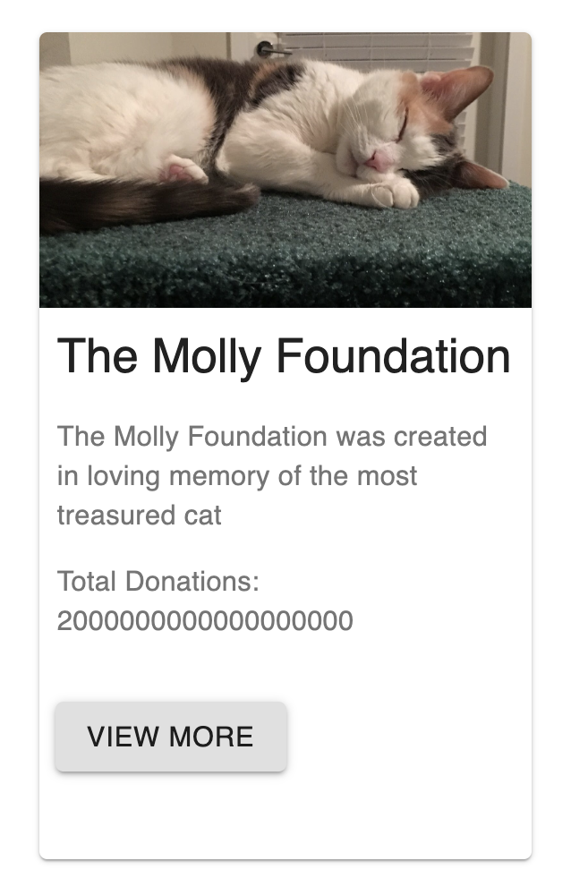 Molly Foundation Donation Image